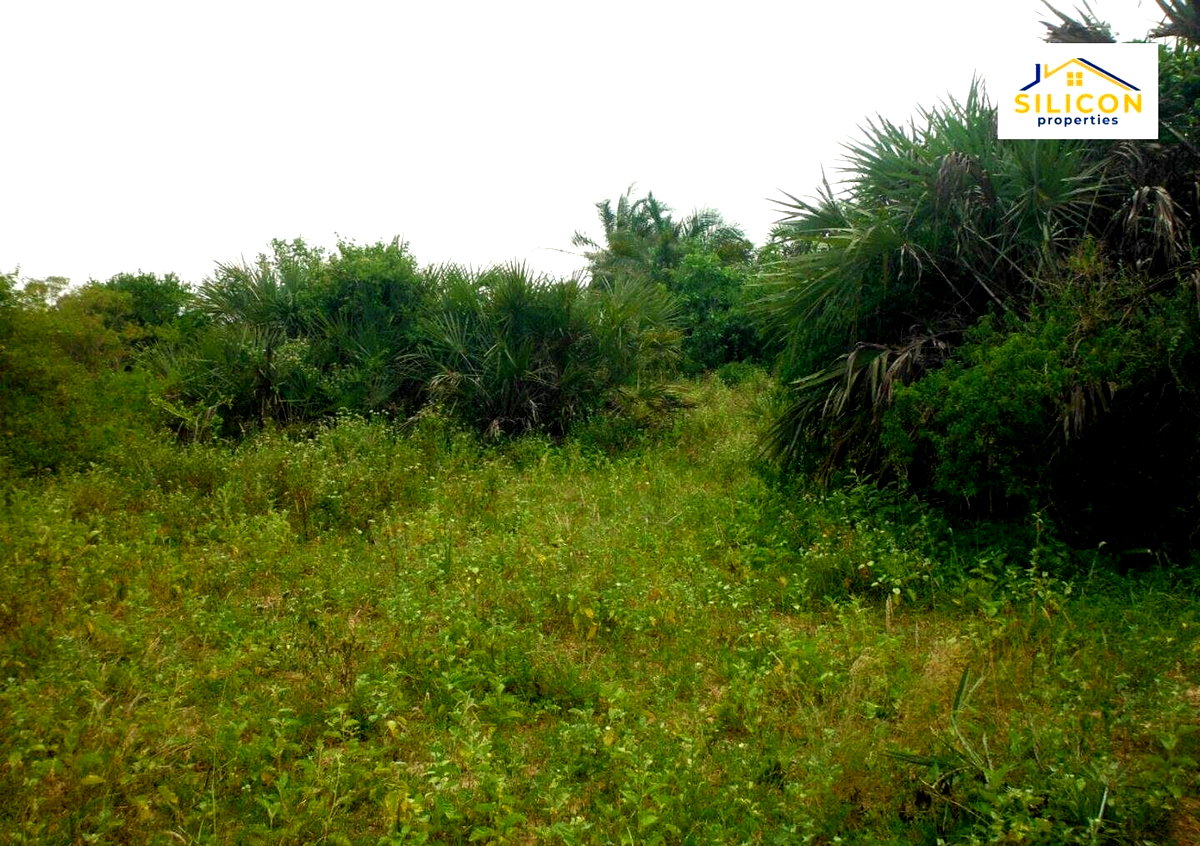 10-Acre Plot in Ramisi, Kwale