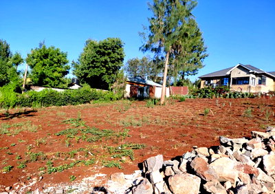 Quarter Acre Plot in Kibiko