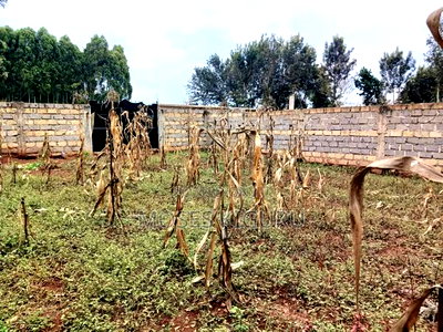 Mugutha 40x80 Plot With Perimeter Wall. - Image 6