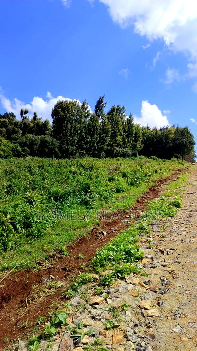 Eighth-Acre and Quarter-Acre Plots on Sale in Ngong Along Lemiso Rd - Image 3