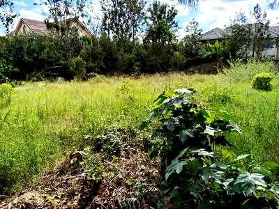 1/4 Acre for Sale in Syokimau - Image 6