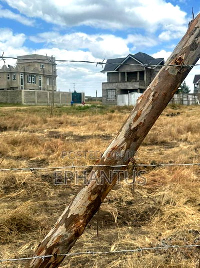 Kamakis Plots - Image 2