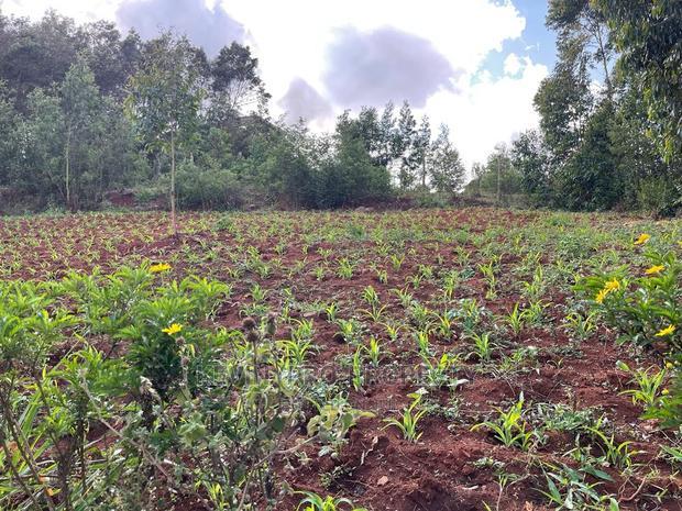 Residential Plots for Sale in Kikuyu Gikambura.