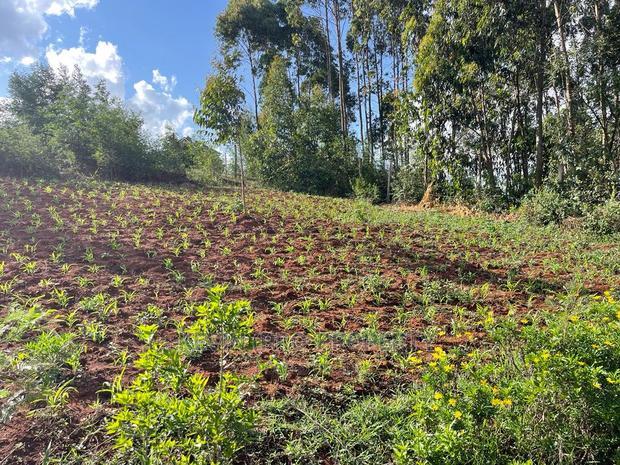 Residential Plots for Sale in Kikuyu Gikambura.