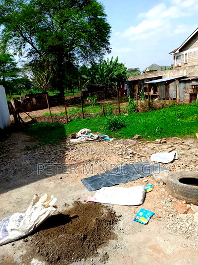 Prime 50*100 Kahawa Sukari, Commercial - Image 4