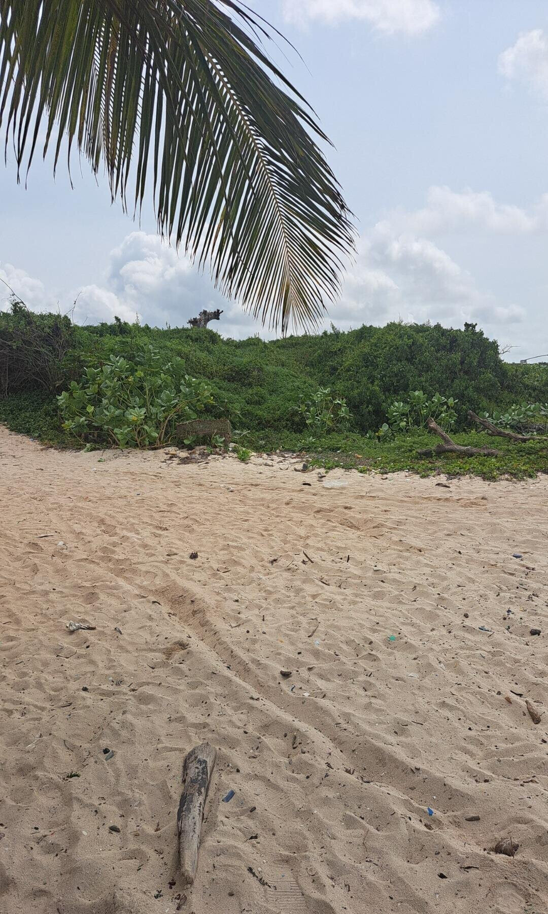 51-Acre Garden Land in Watamu
