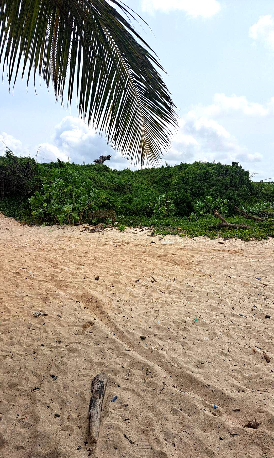 51-Acre Garden Land in Watamu