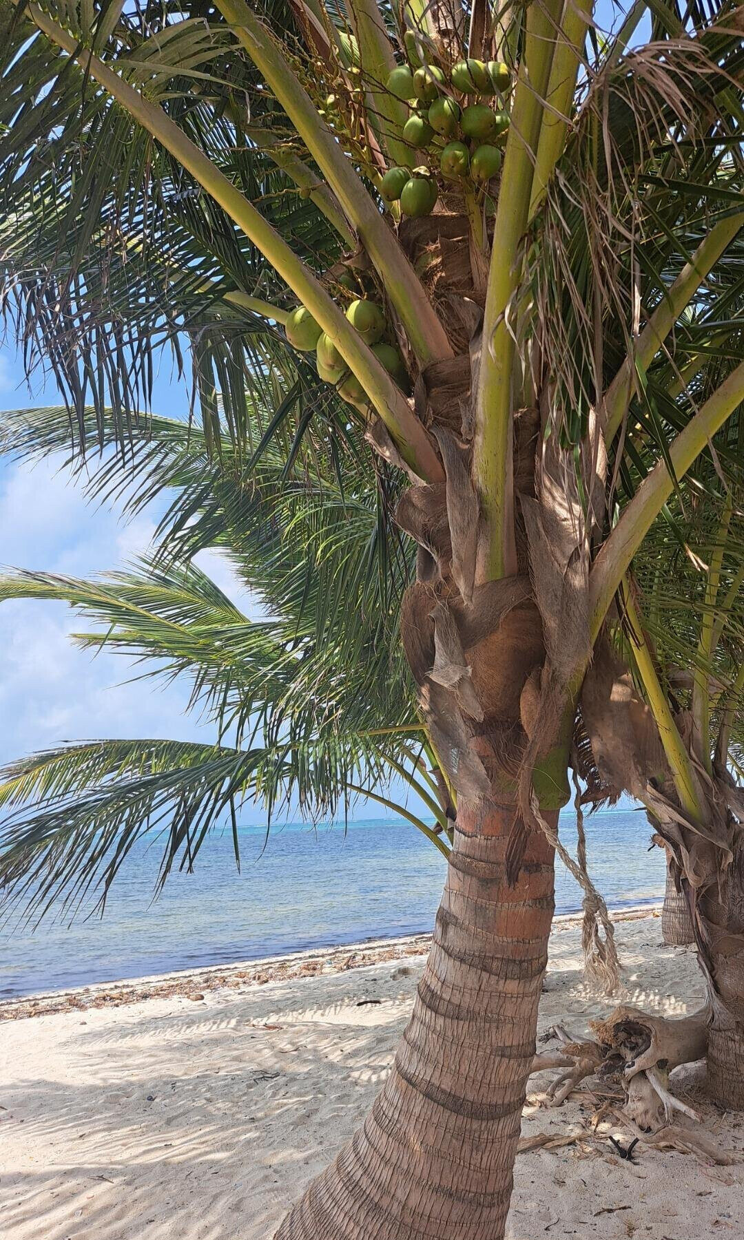 51-Acre Garden Land in Watamu