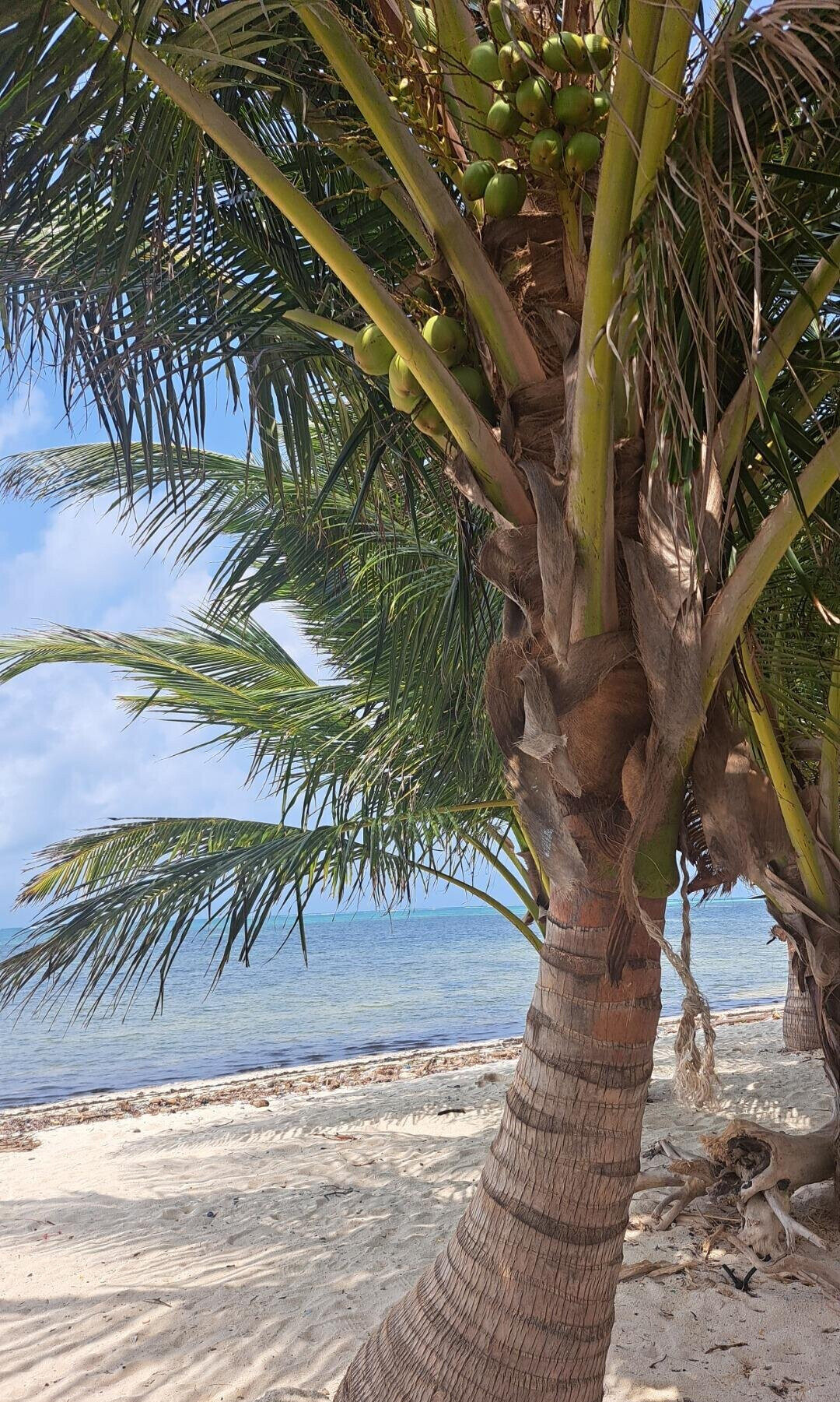 51-Acre Garden Land in Watamu
