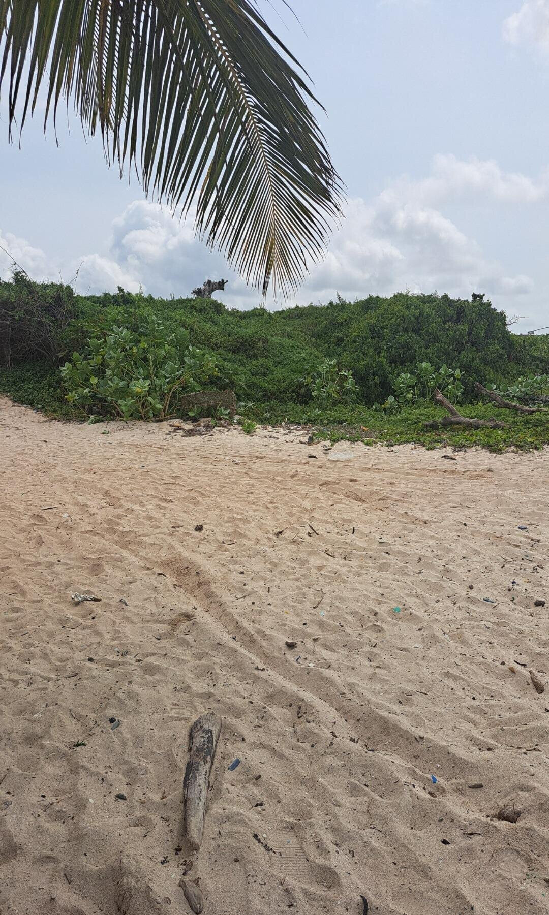 51-Acre Garden Land in Watamu