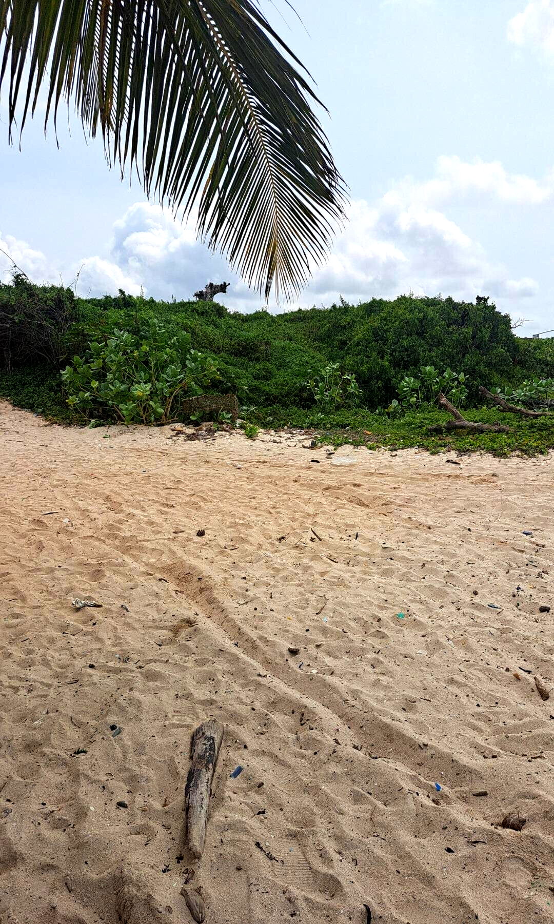 51-Acre Garden Land in Watamu