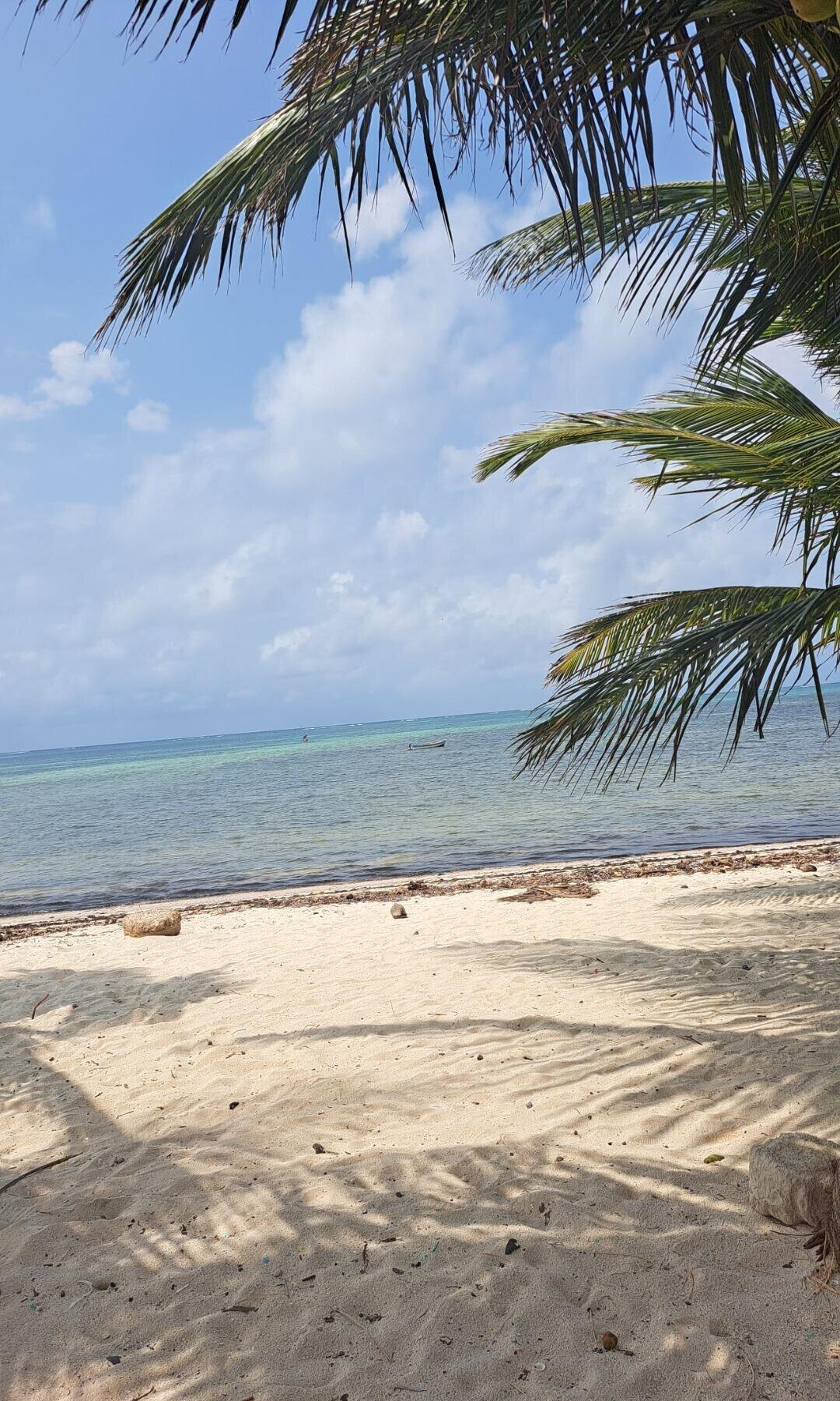 51-Acre Garden Land in Watamu