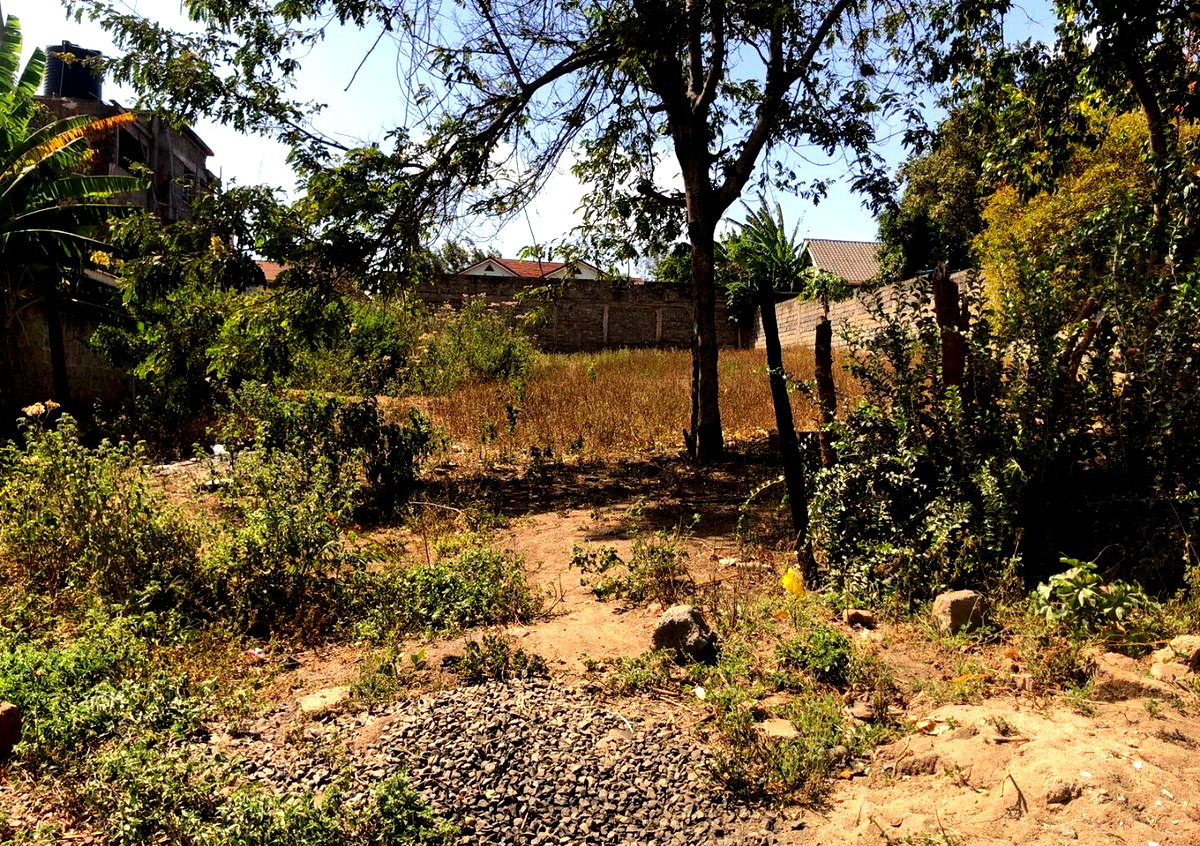 12M Plot Near New Faith Church