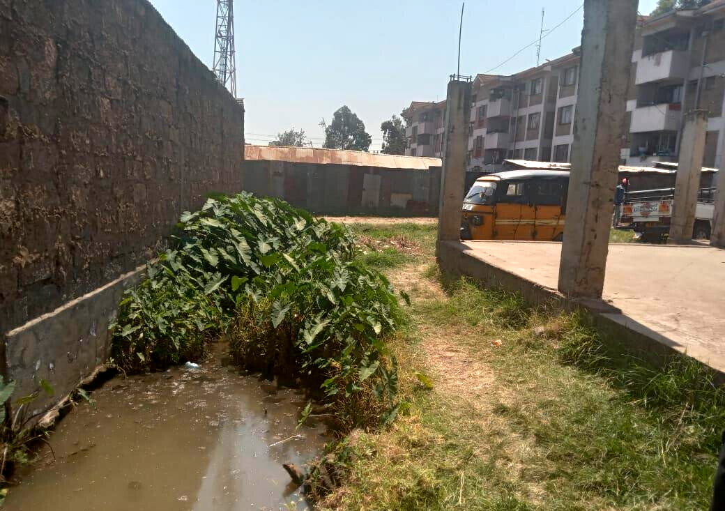 Quarter Acre Plot with Garden in Kawangware