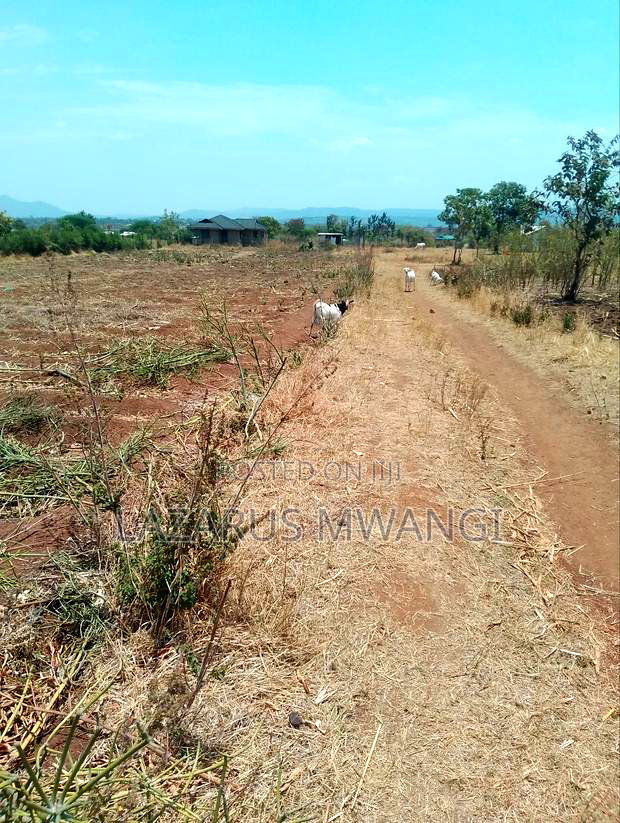 Eighth Acre Plot for Sale at Karuku Makutano-Mwea 700mtrs Dual Way