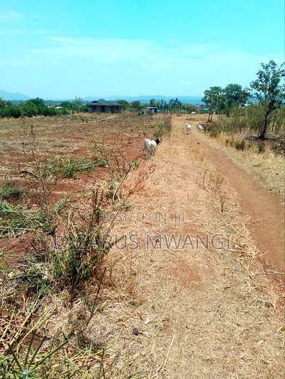 Eighth Acre Plot for Sale at Karuku Makutano-Mwea 700mtrs Dual Way - Image 4