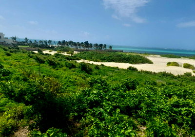 5-Acre Beachfront Land at KSh 115M