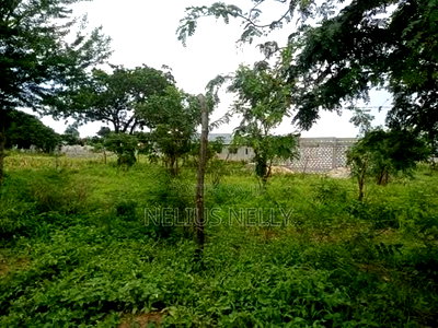 Malindi Plots for Sale - Image 4