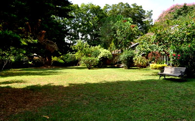 1.3-Acre Westlands Land with Redevelopment Potential