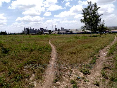 Prime 4 Acres Piece of Land SABAKI Behind Gas Go Station - Image 10