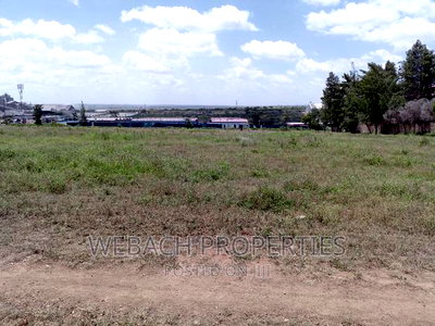 Prime 4 Acres Piece of Land SABAKI Behind Gas Go Station - Image 5