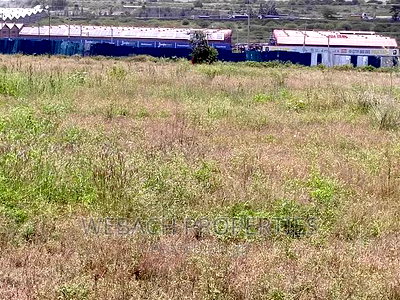 Prime 4 Acres Piece of Land SABAKI Behind Gas Go Station - Image 2
