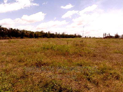 Prime 4 Acres Piece of Land SABAKI Behind Gas Go Station - Image 8