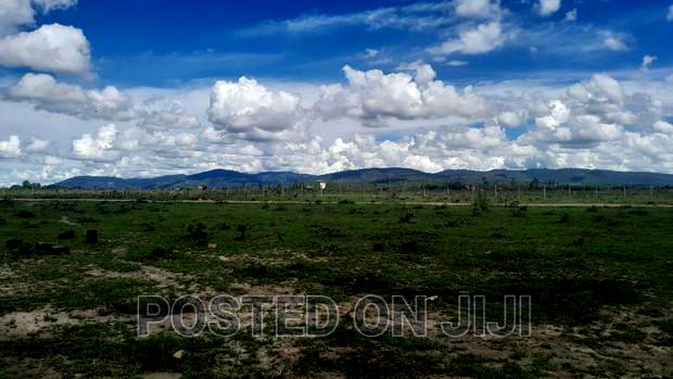 Phenomenal Plots for Sale