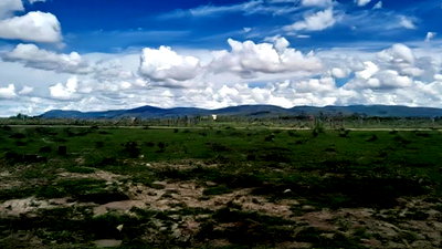 Phenomenal Plots for Sale