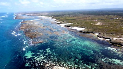 Beach Land for Sale in Kilifi Chumani - Image 1