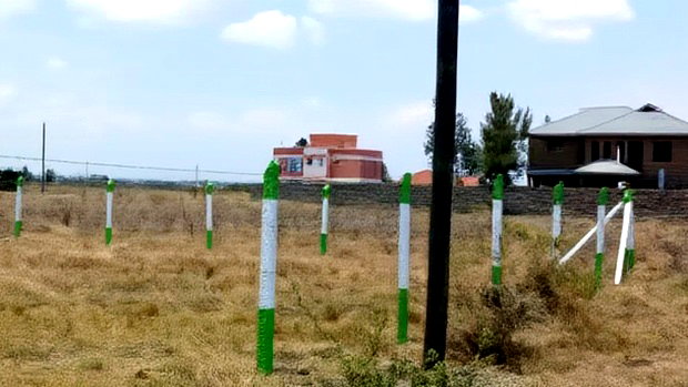 Residential Plots in Kamakis,Ready Title Deeds.