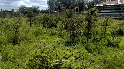 1/4 Acre Plot for Sale - Image 3