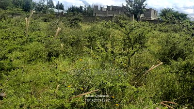 1/4 Acre Plot for Sale - Image 4