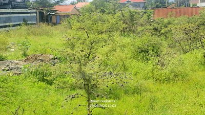 1/4 Acre Plot for Sale - Image 2