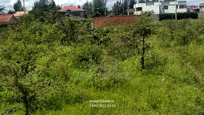 1/4 Acre Plot for Sale - Image 1