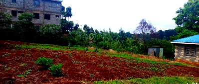 50x100 Plot in Kabete for KSh 8M