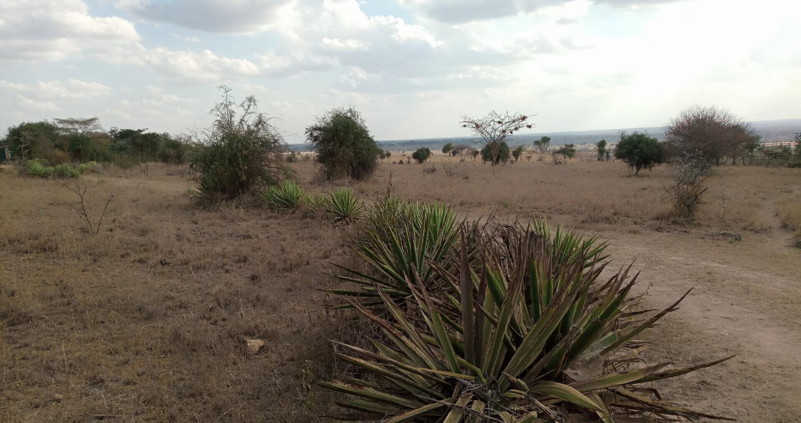 270-Acre Land with Approvals - Athi River