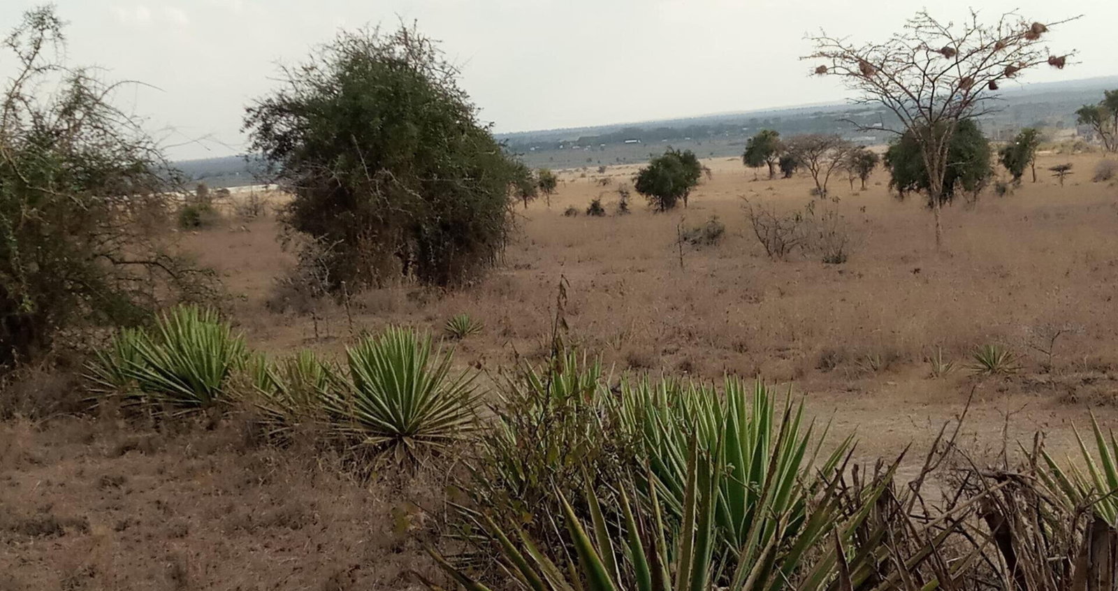 270-Acre Land with Approvals - Athi River