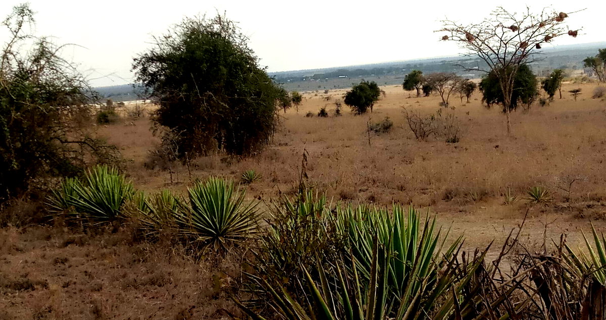 270-Acre Land with Approvals - Athi River