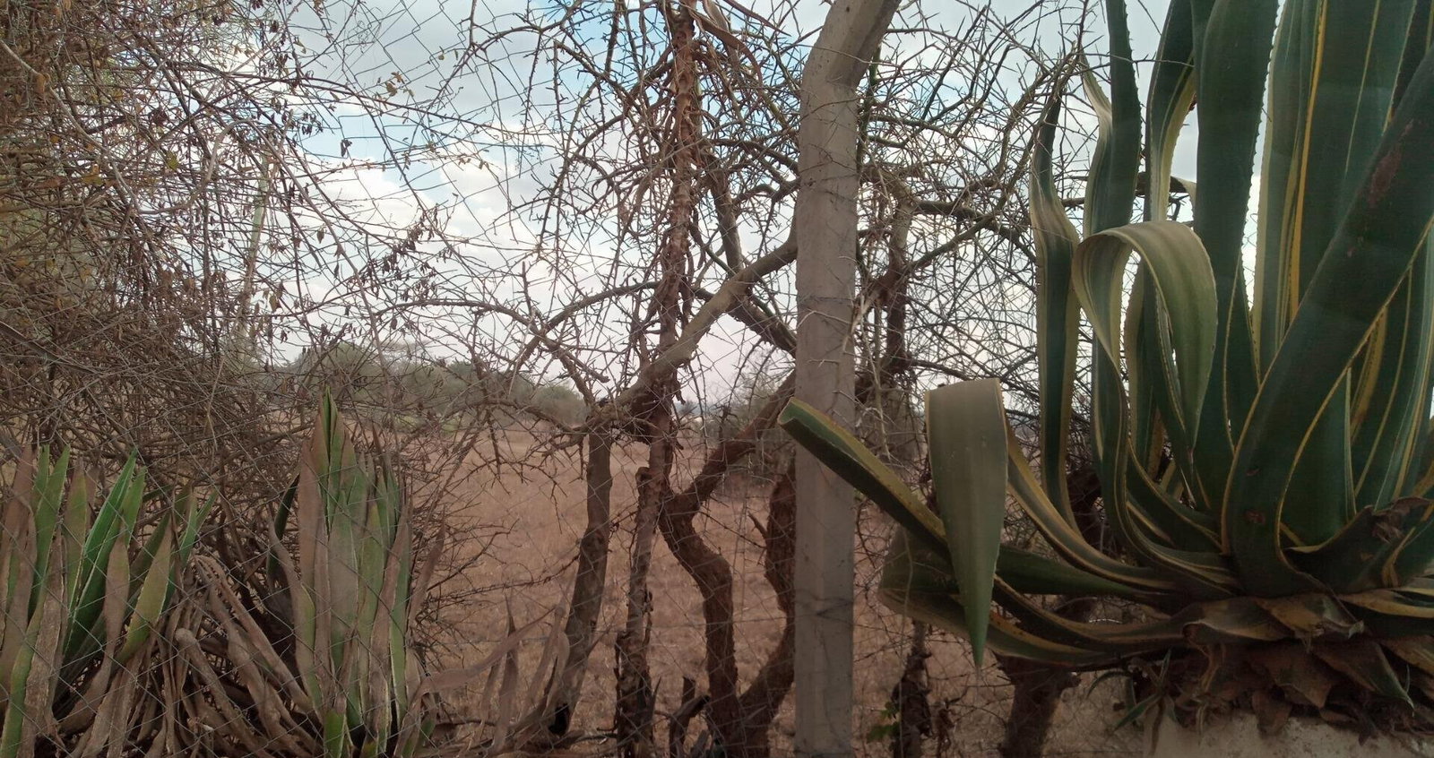 270-Acre Land with Approvals - Athi River