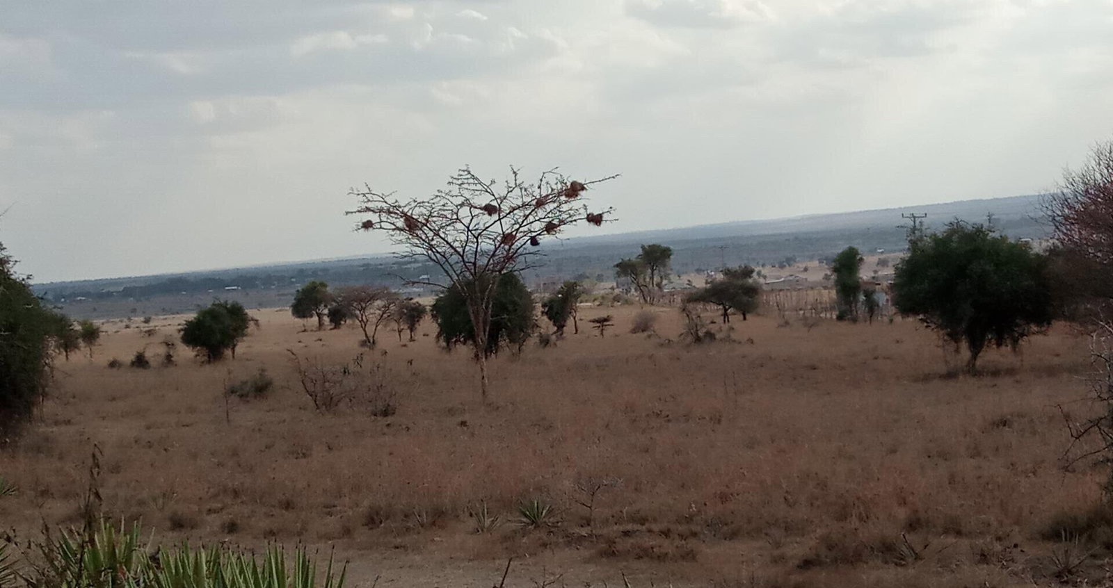 270-Acre Land with Approvals - Athi River