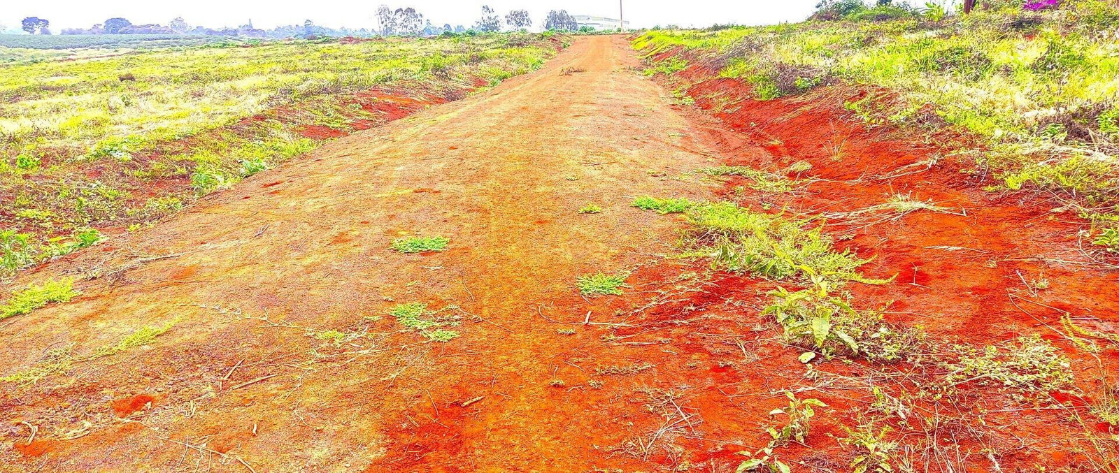 Garden Plot with Parking for KSh 2.7M