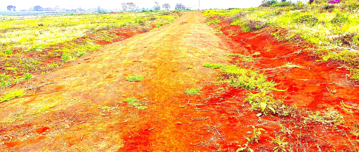 Garden Plot with Parking for KSh 2.7M