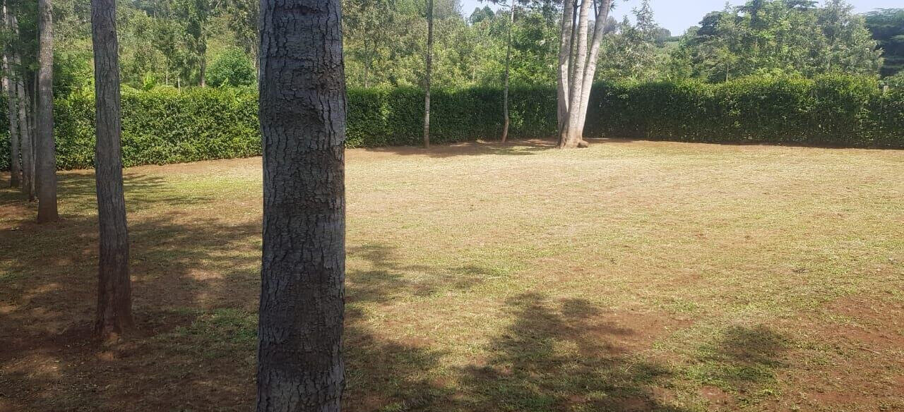 1/8 Acre Plot in Oloolua at KSh 3.7M