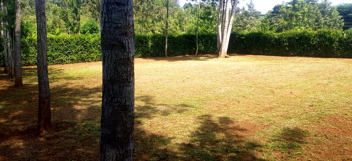 1/8 Acre Plot in Oloolua at KSh 3.7M