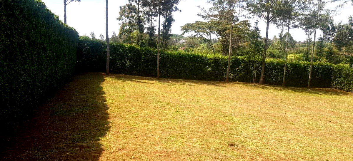 1/8 Acre Plot in Oloolua at KSh 3.7M