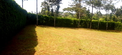 1/8 Acre Plot in Oloolua at KSh 3.7M