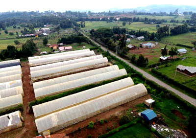 13-Acre Garden Land with Parking - Kikuyu