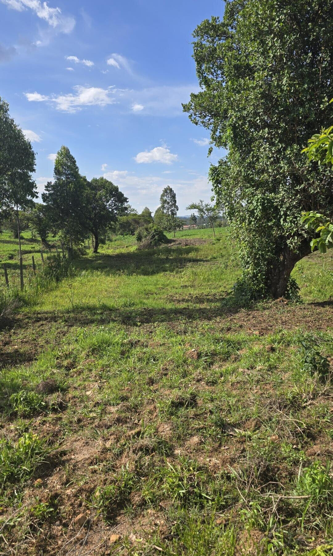 2-Acre Plot with Garden on Kitale-Webuye Highway