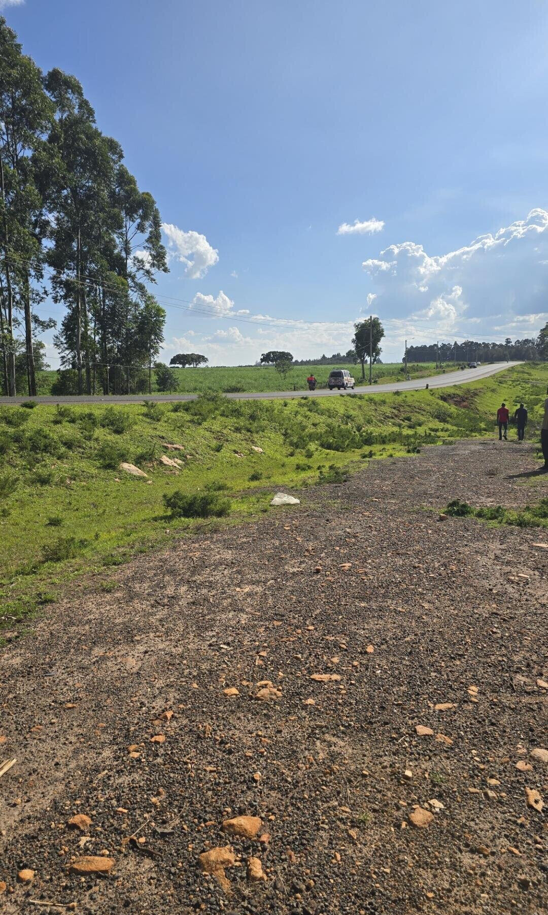 2-Acre Plot with Garden on Kitale-Webuye Highway